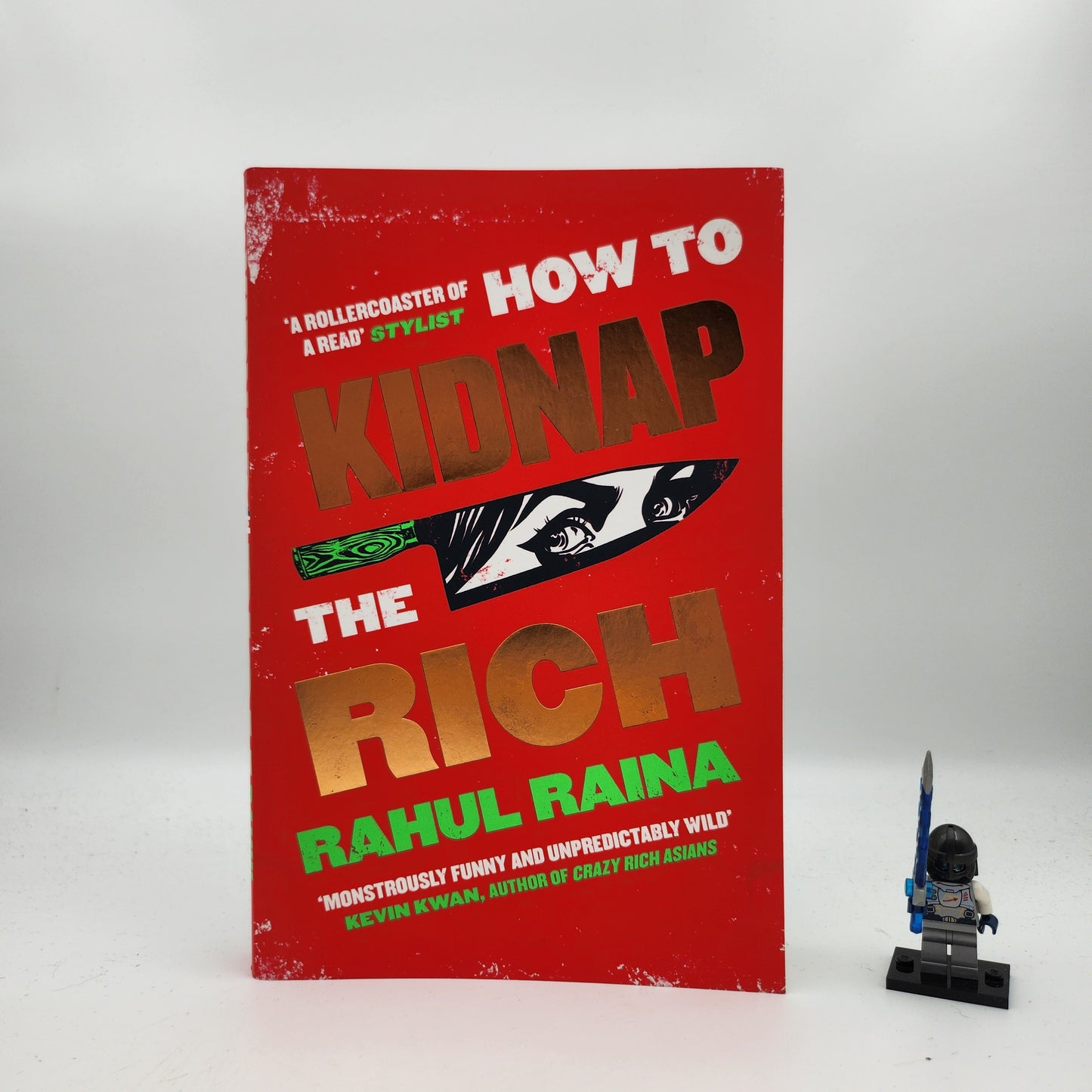 How to Kidnap the Rich - Rahul Raina