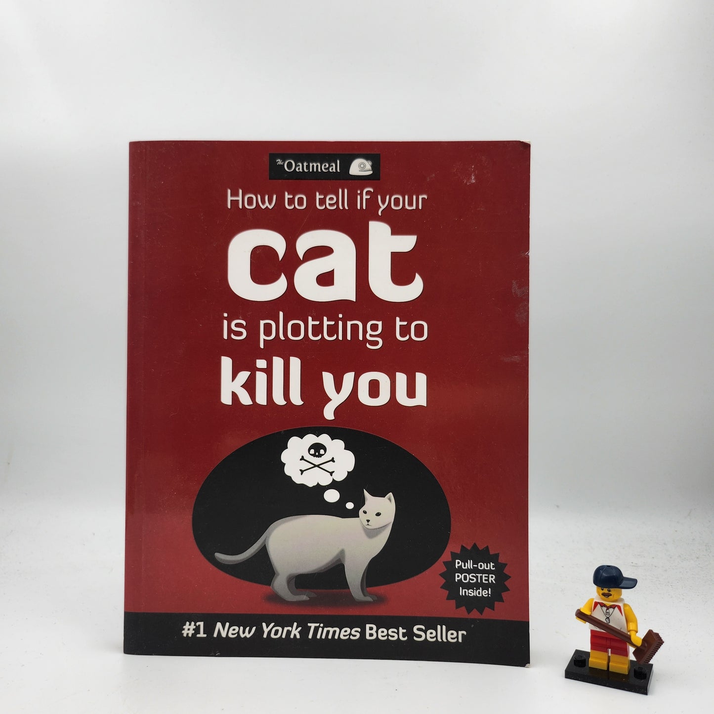 How to Tell If Your Cat Is Plotting to Kill You