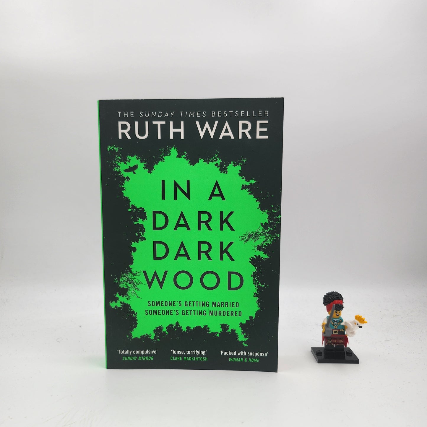 In a Dark, Dark Wood