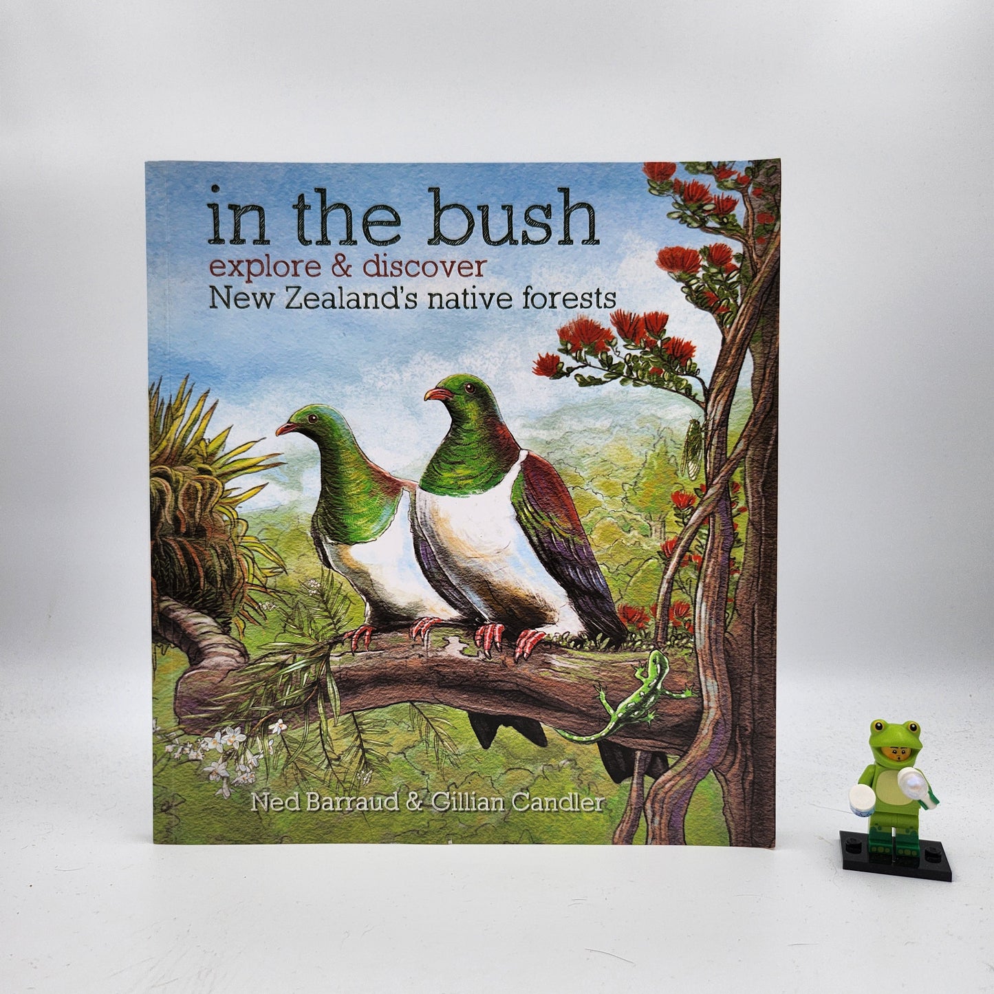 In the Bush: explore and discover New Zealand's native forests