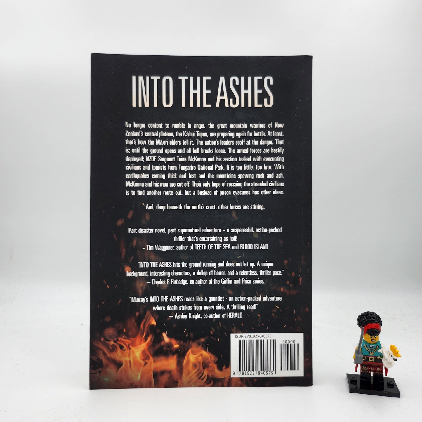 Into the Ashes (Taine McKenna Adventures #3)