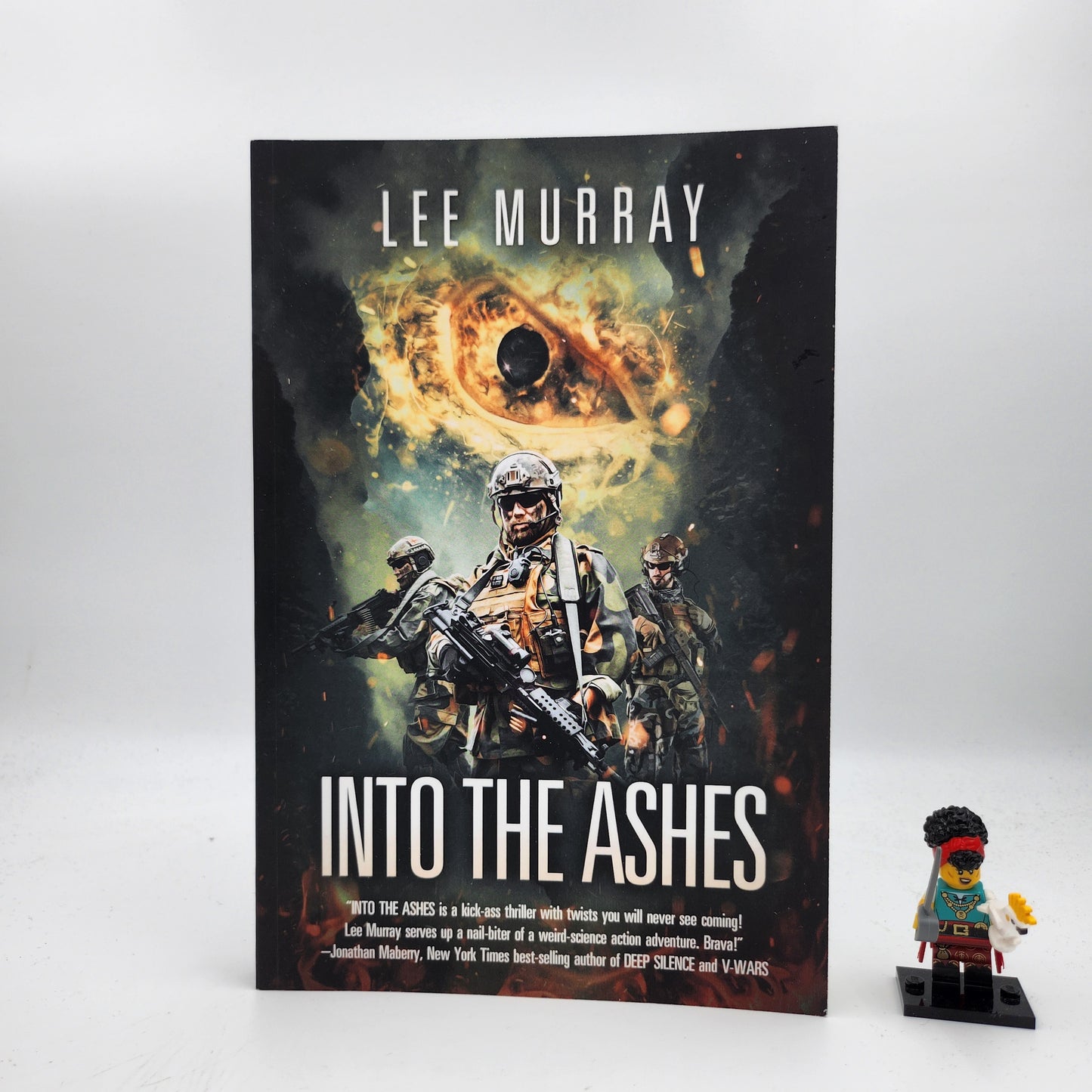 Into the Ashes (Taine McKenna Adventures #3)