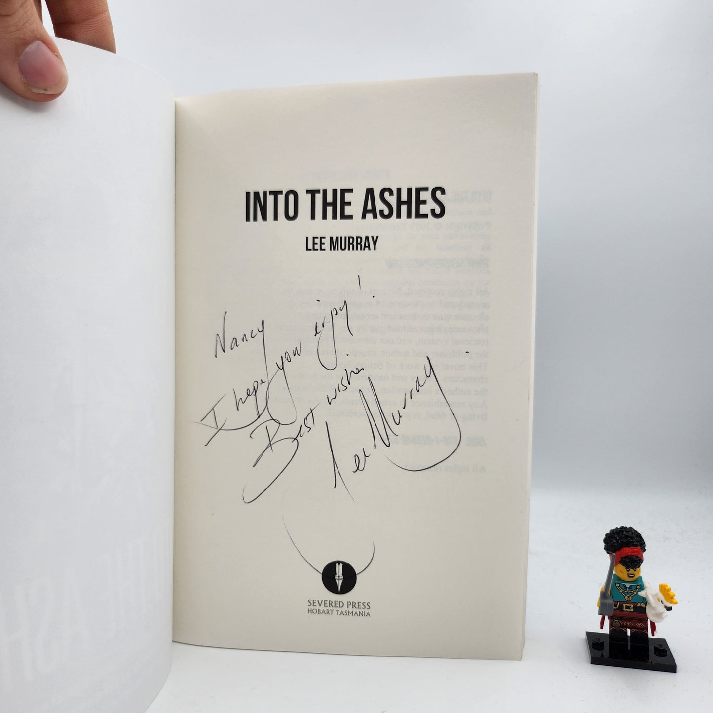 Into the Ashes (Taine McKenna Adventures #3)