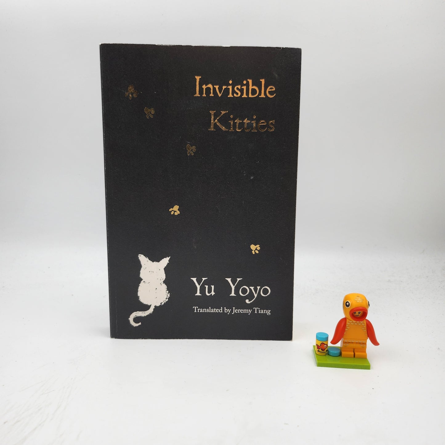 Invisible Kitties