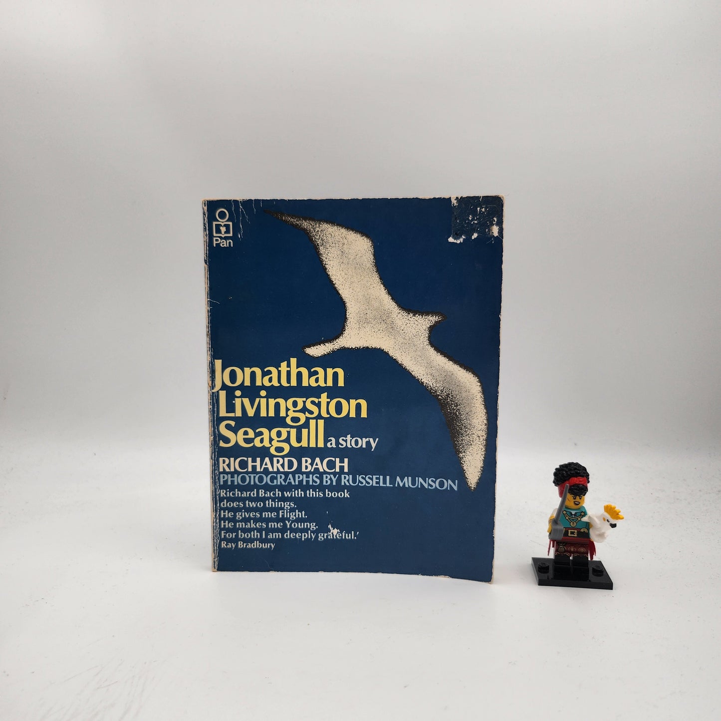 Jonathan Livingston Seagull