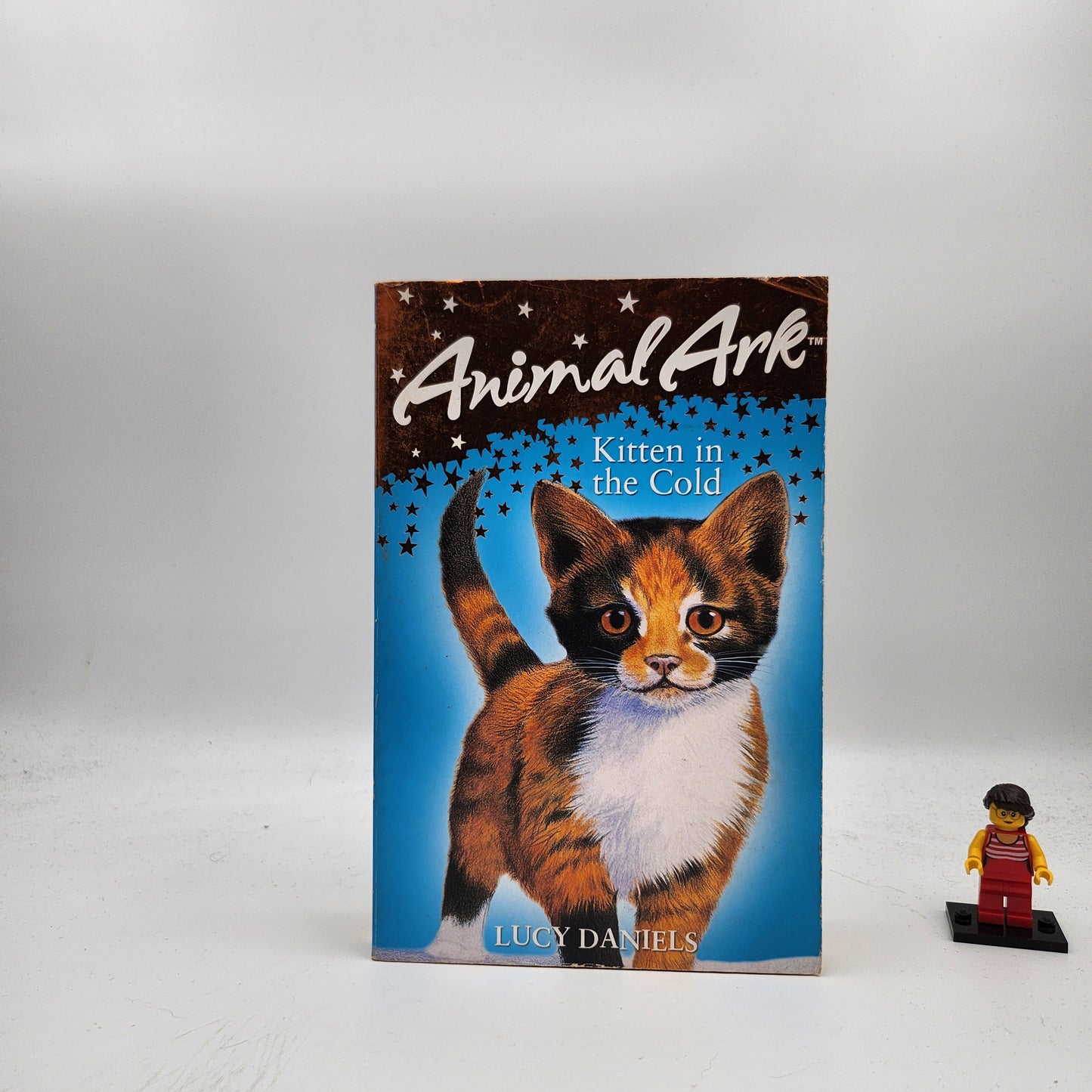 Kitten in the Cold (Animal Ark Holiday Special #2)