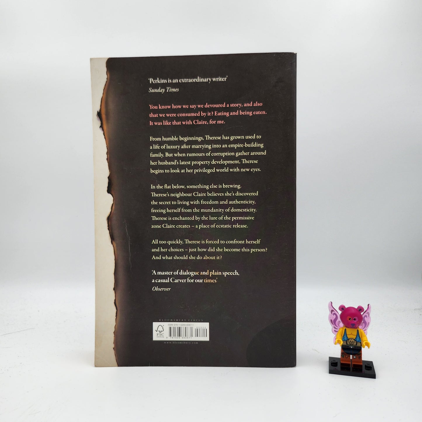 Lioness - Emily Perkins