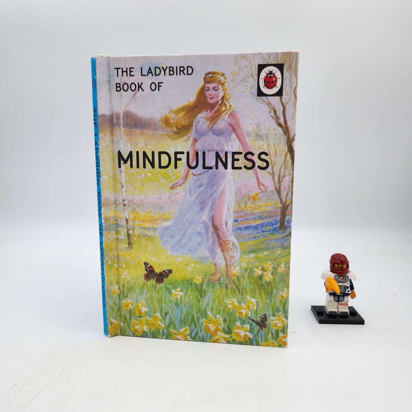 The Ladybird Book of Mindfulness