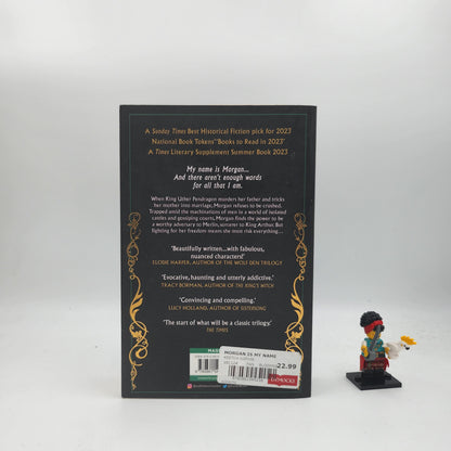 Morgan Is My Name (Morgan le Fay #1)