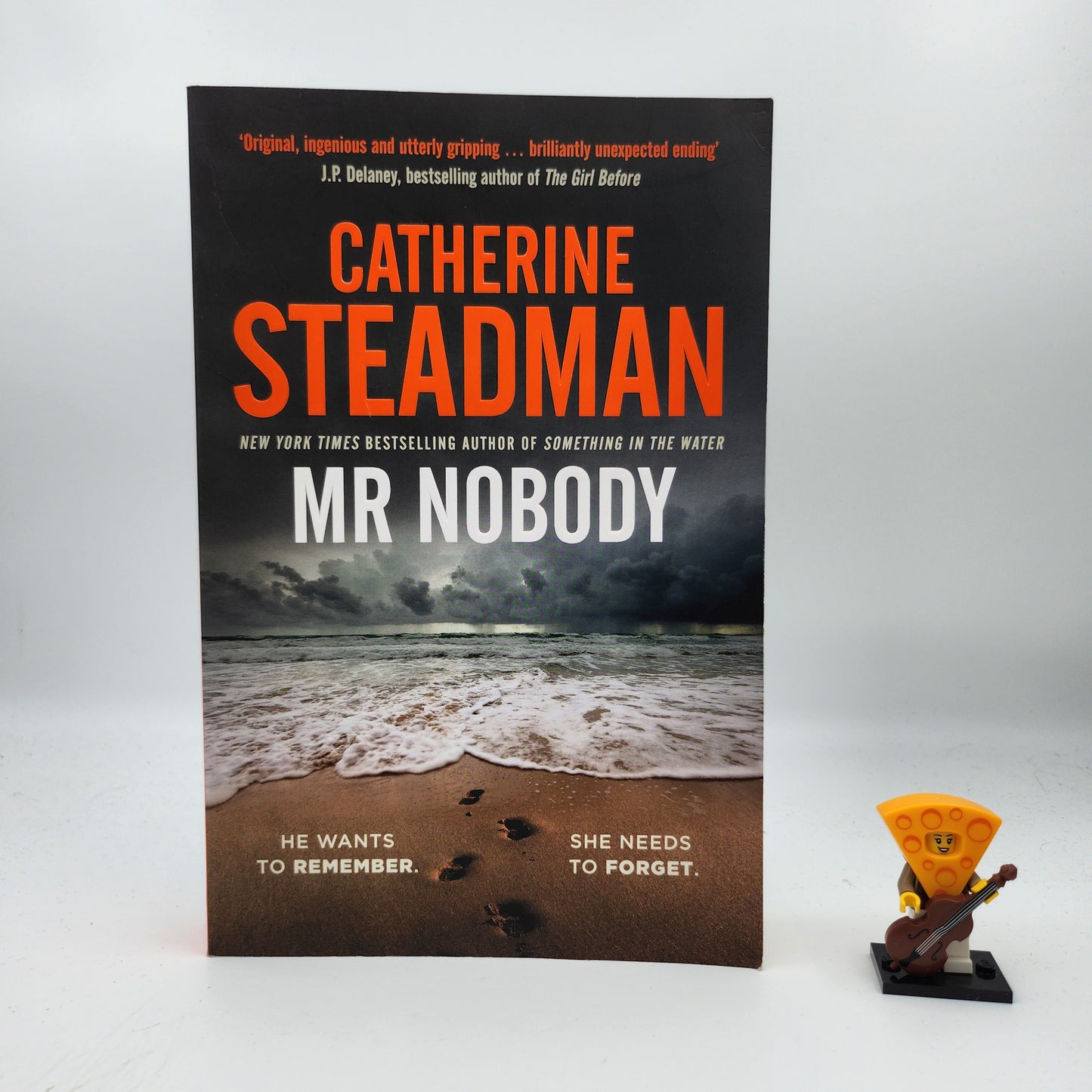 Mr. Nobody - Catherine Steadman