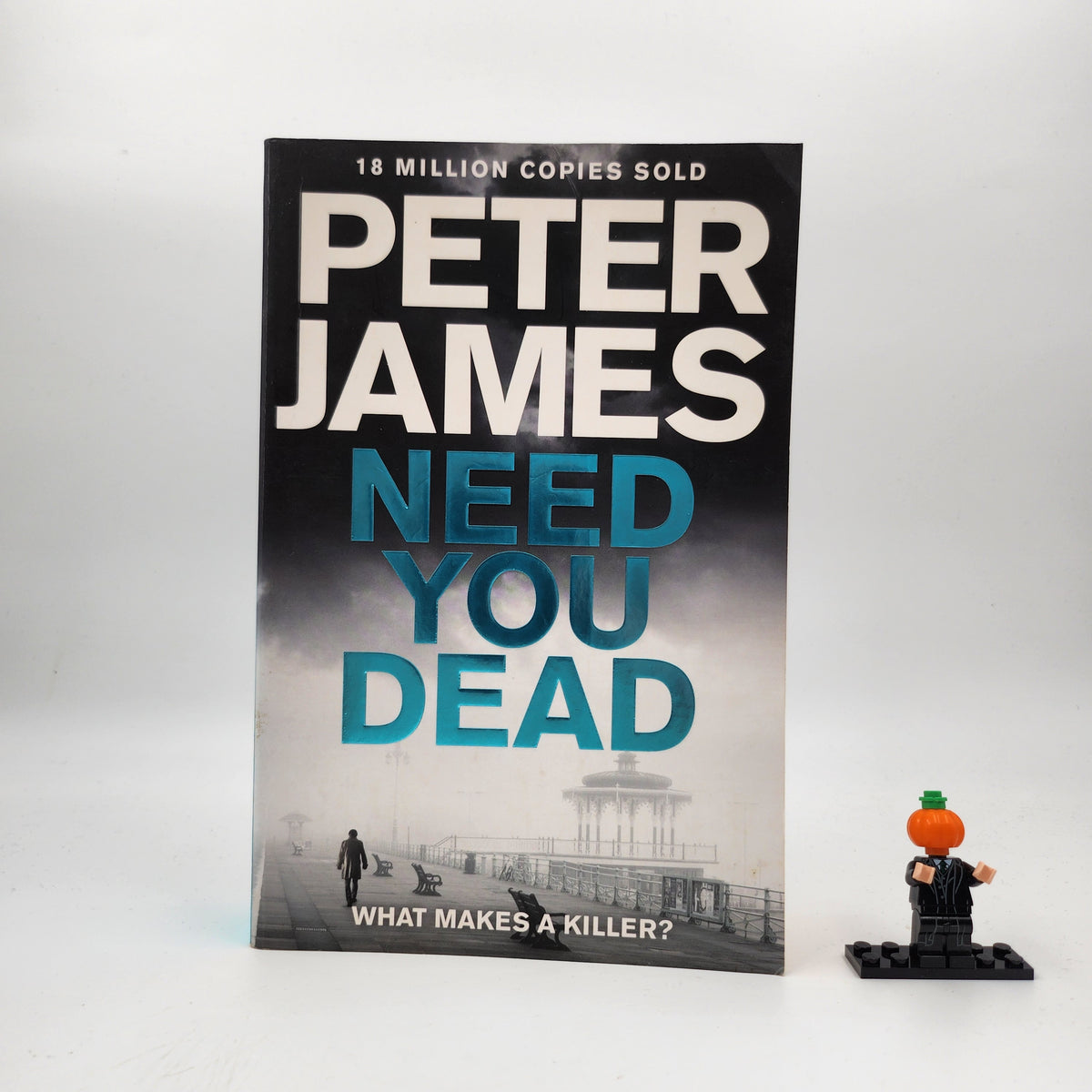 Need You Dead (Roy Grace #13)