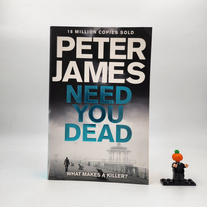 Need You Dead (Roy Grace #13)