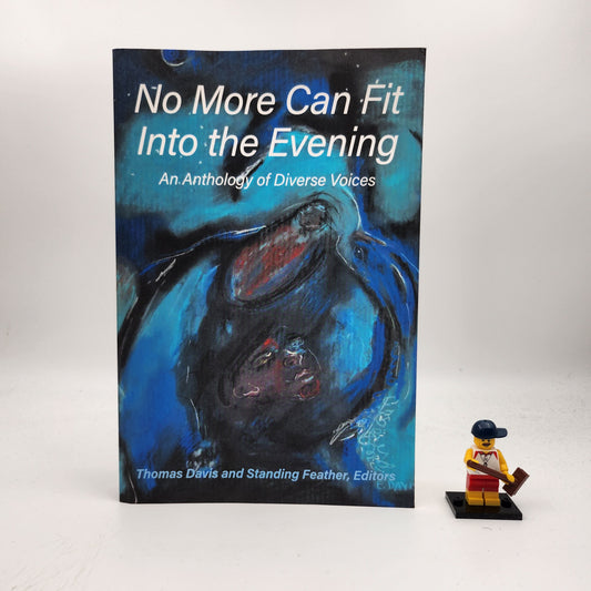No More Can Fit Into the Evening