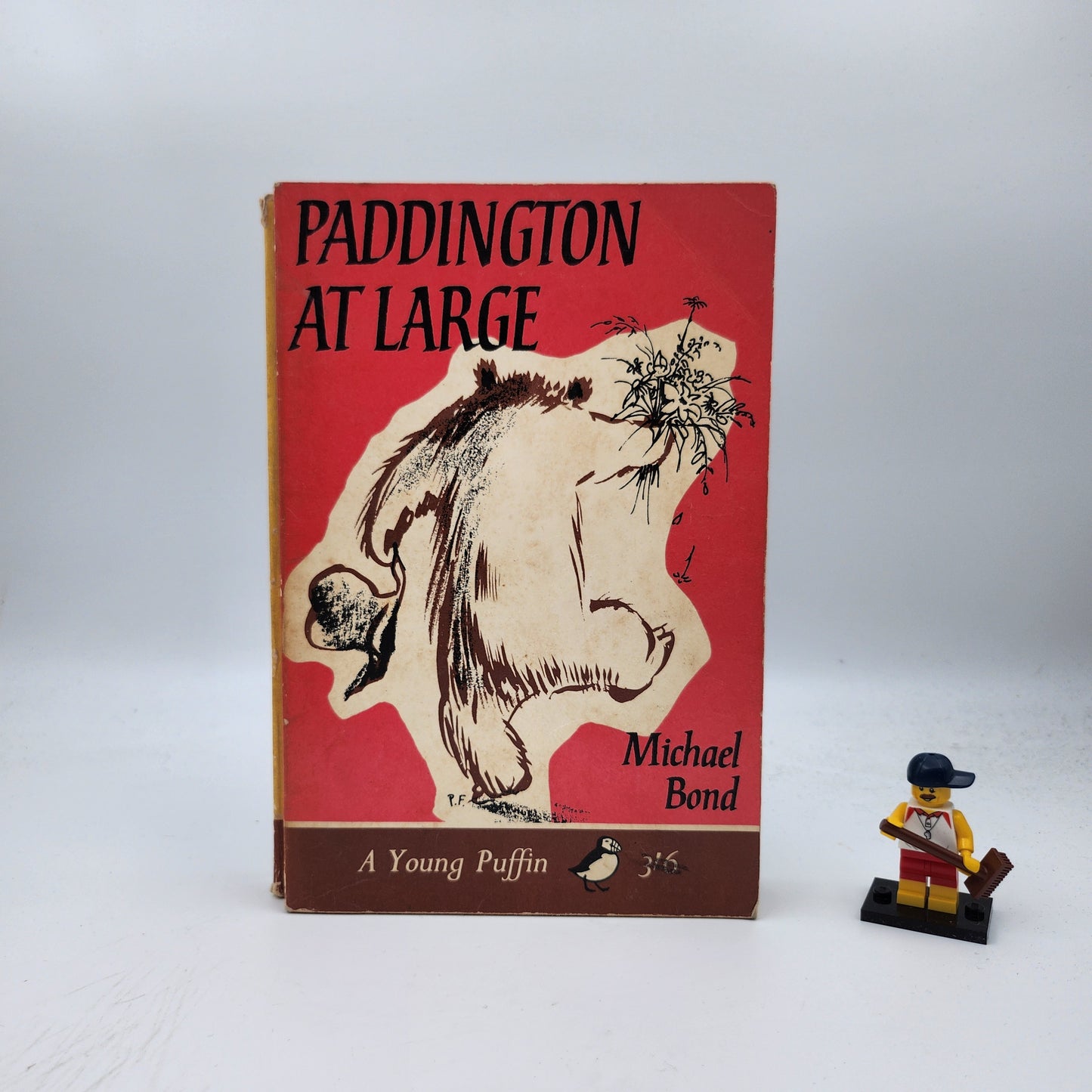 Paddington at Large (Paddington #5)