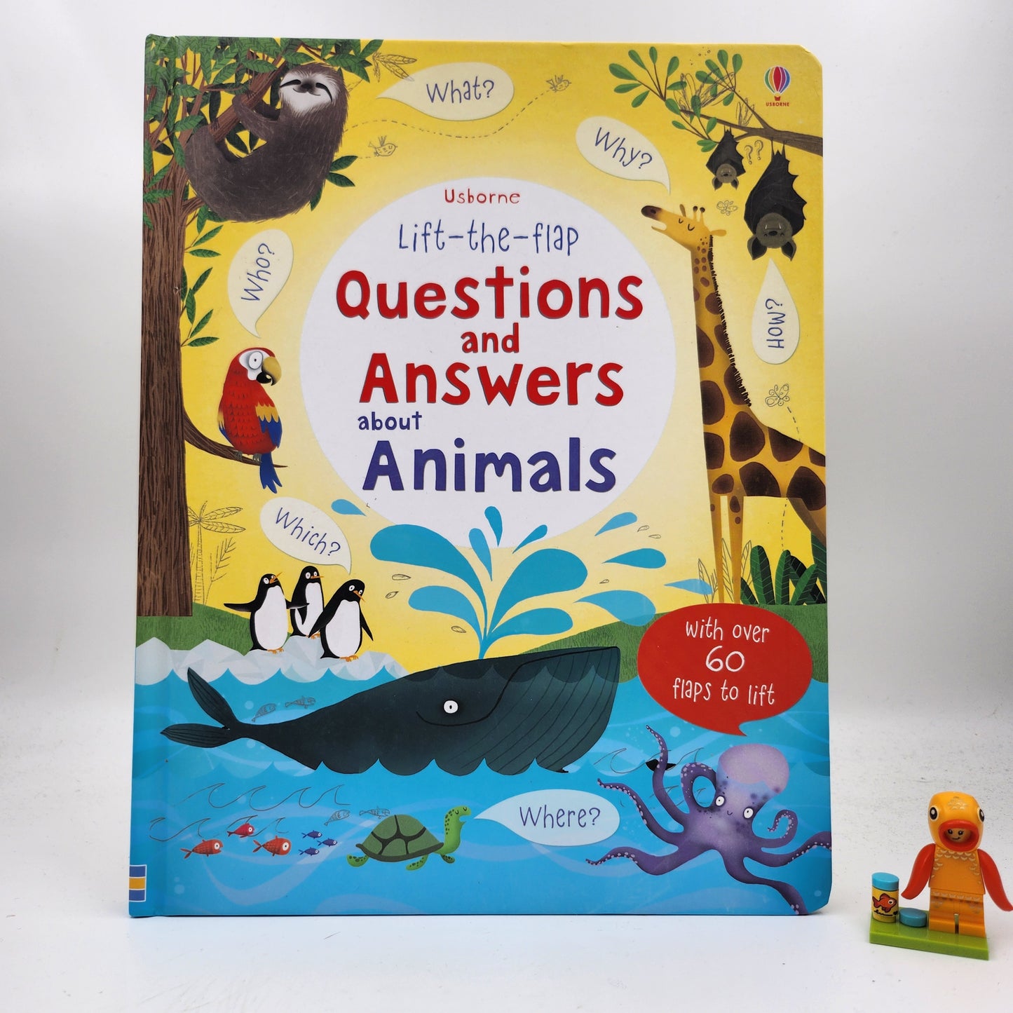 Questions and Answers about Animals