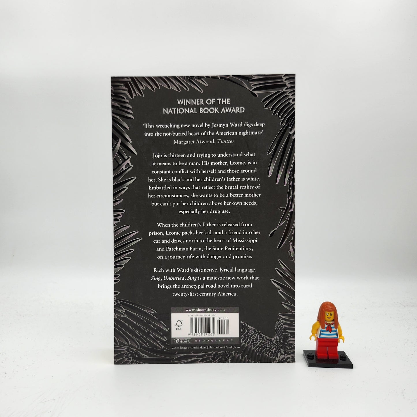 Sing, Unburied, Sing (Bois Sauvage #3) - Jesmyn Ward