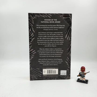 Sing, Unburied, Sing (Bois Sauvage #3)