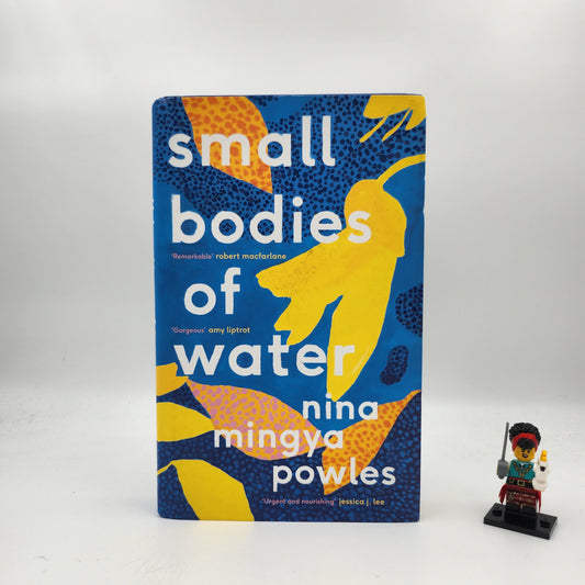 Small Bodies of Water