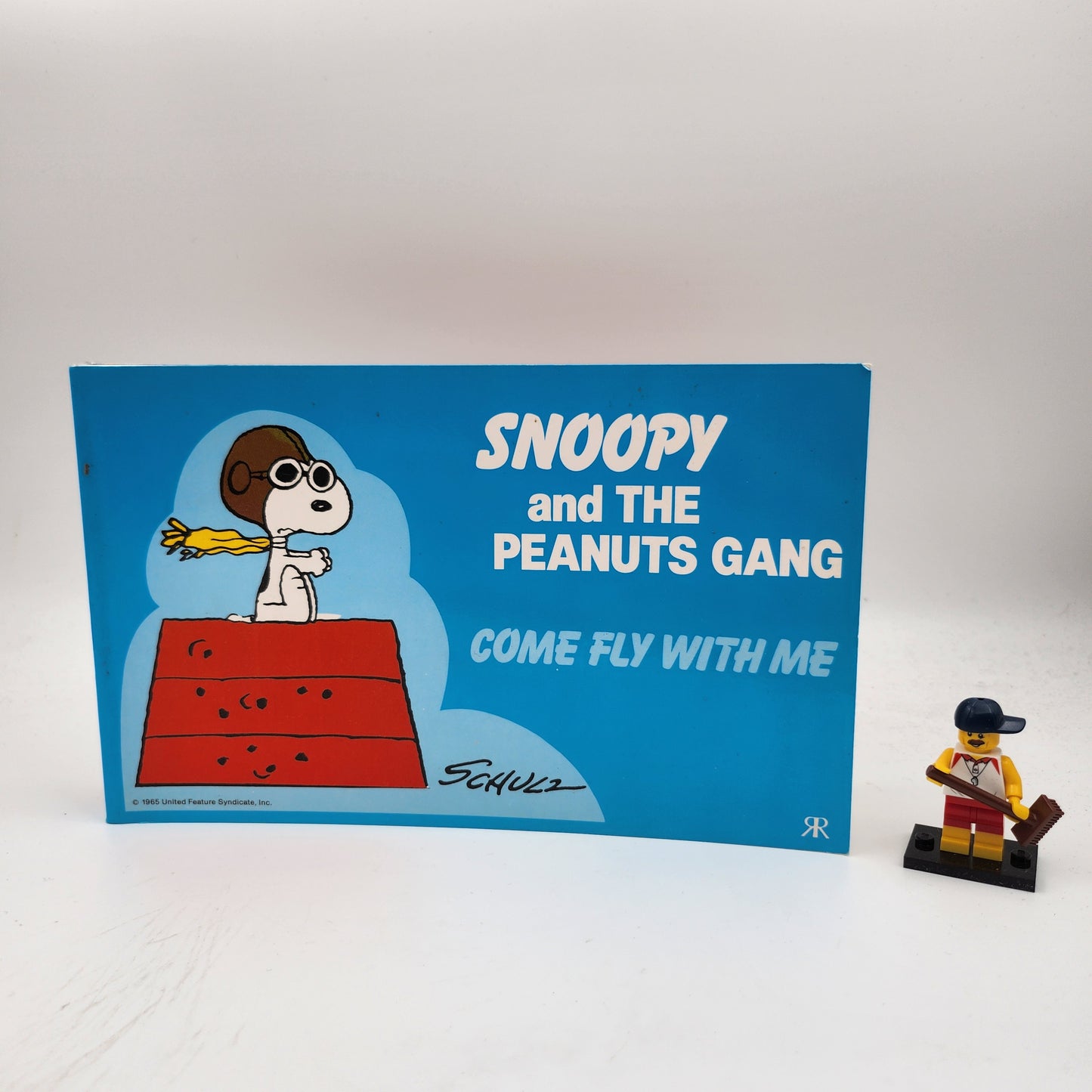 Snoopy and the Peanuts Gang: Come Fly with Me