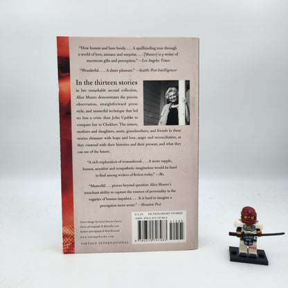 Something I've Been Meaning to Tell You - Alice Munro