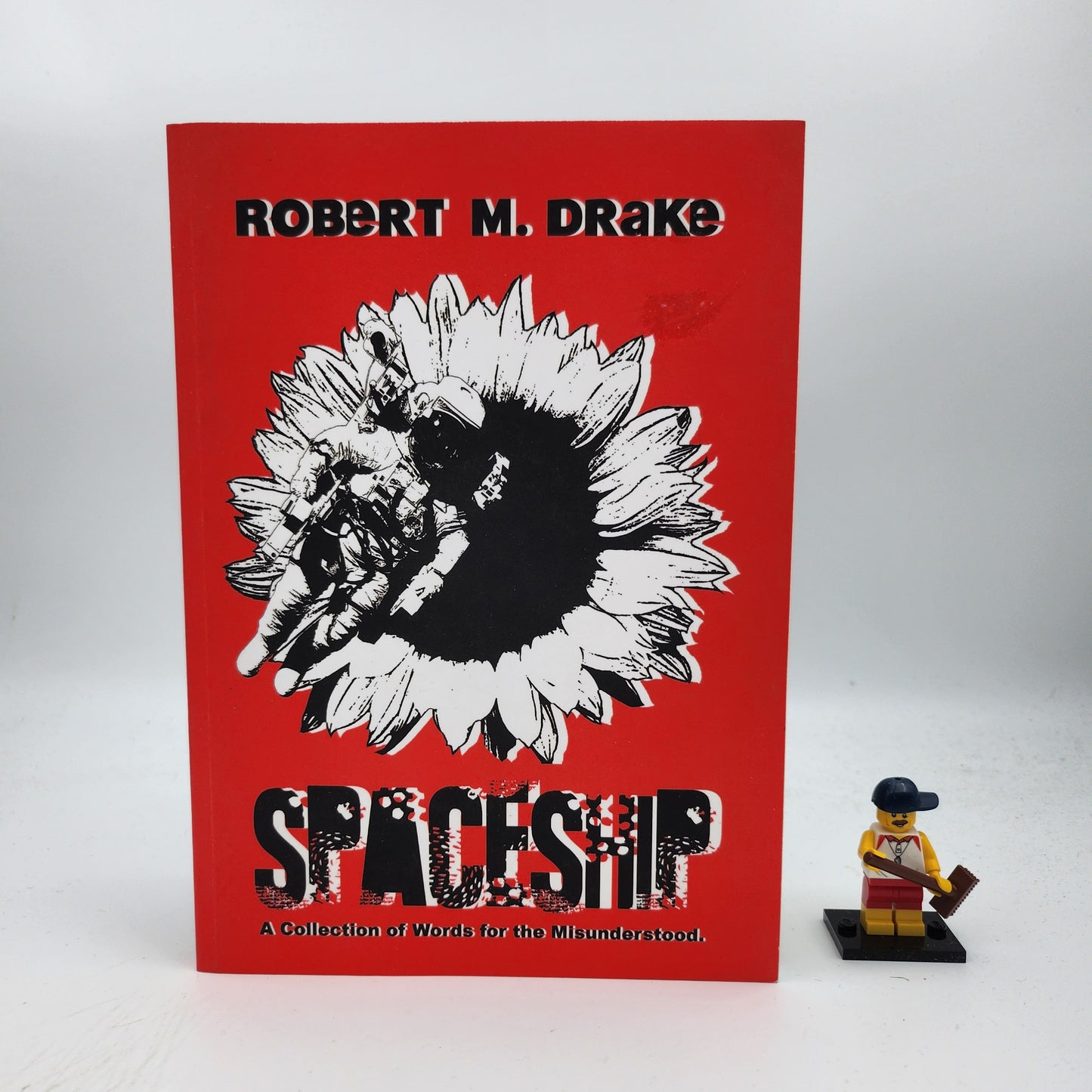 Spaceship: A Collection of Words for the Misunderstood