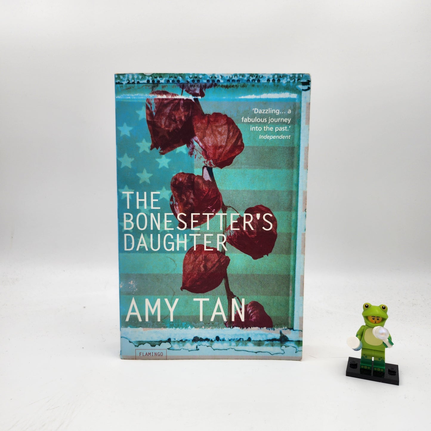 The Bonesetter's Daughter