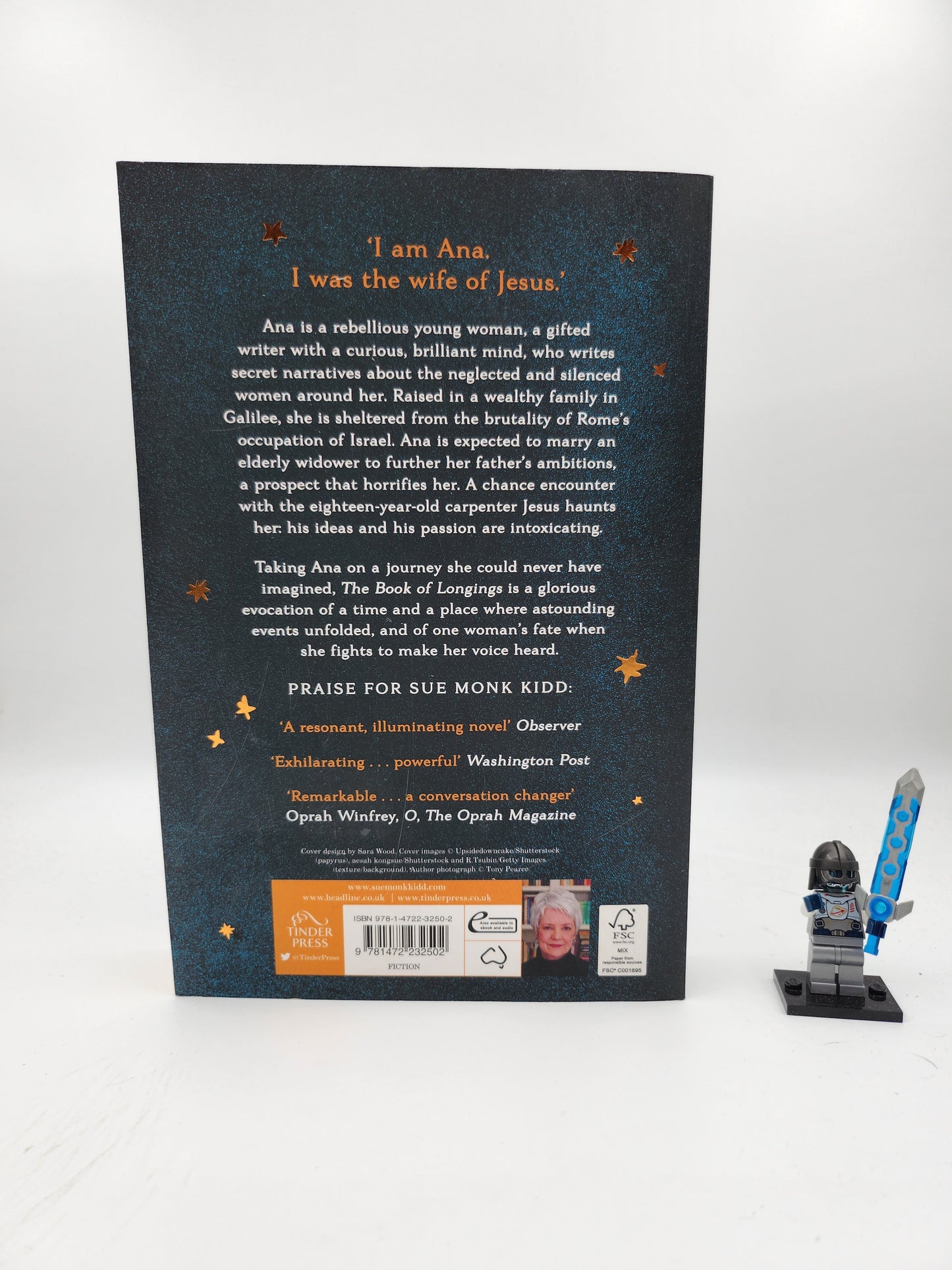 The Book of Longings