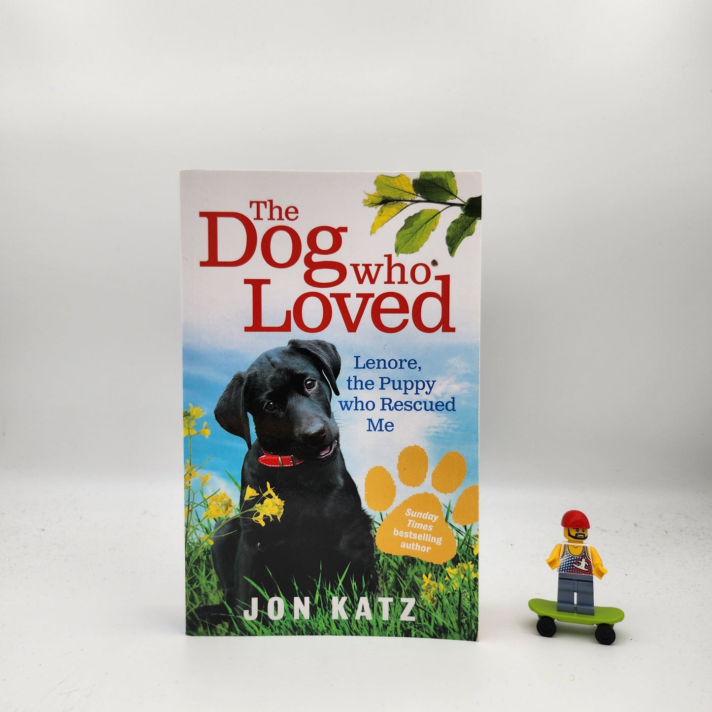 The Dog who Loved: Lenore, the Puppy who Rescued Me - Jon Katz