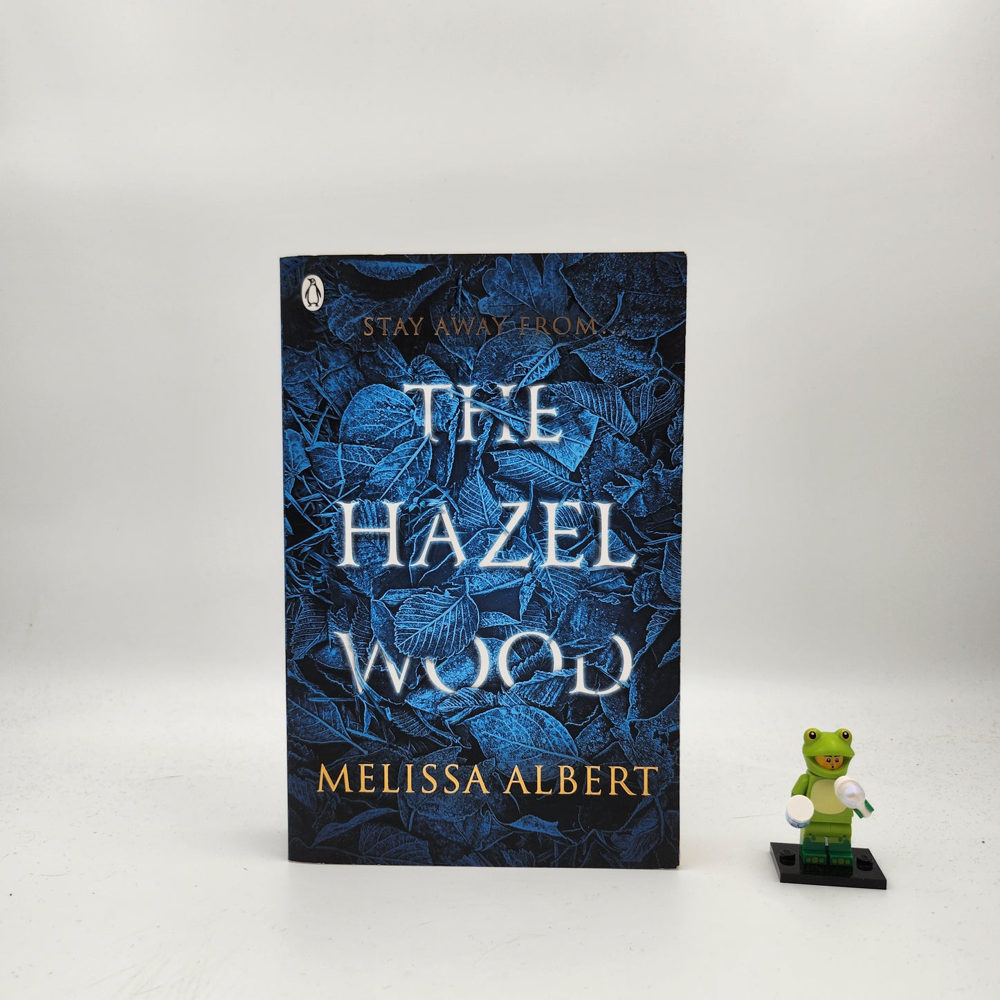 The Hazel Wood (The Hazel Wood #1)