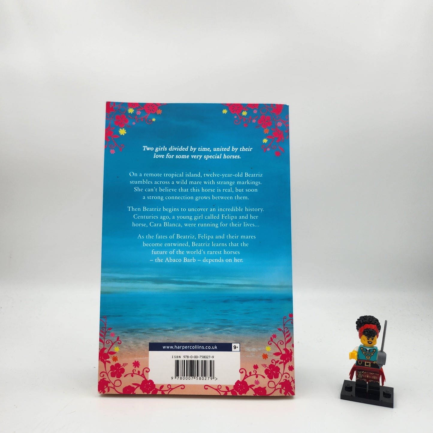 The Island of Lost Horse - Stacy Gregg