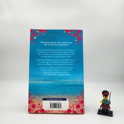 The Island of Lost Horse - Stacy Gregg