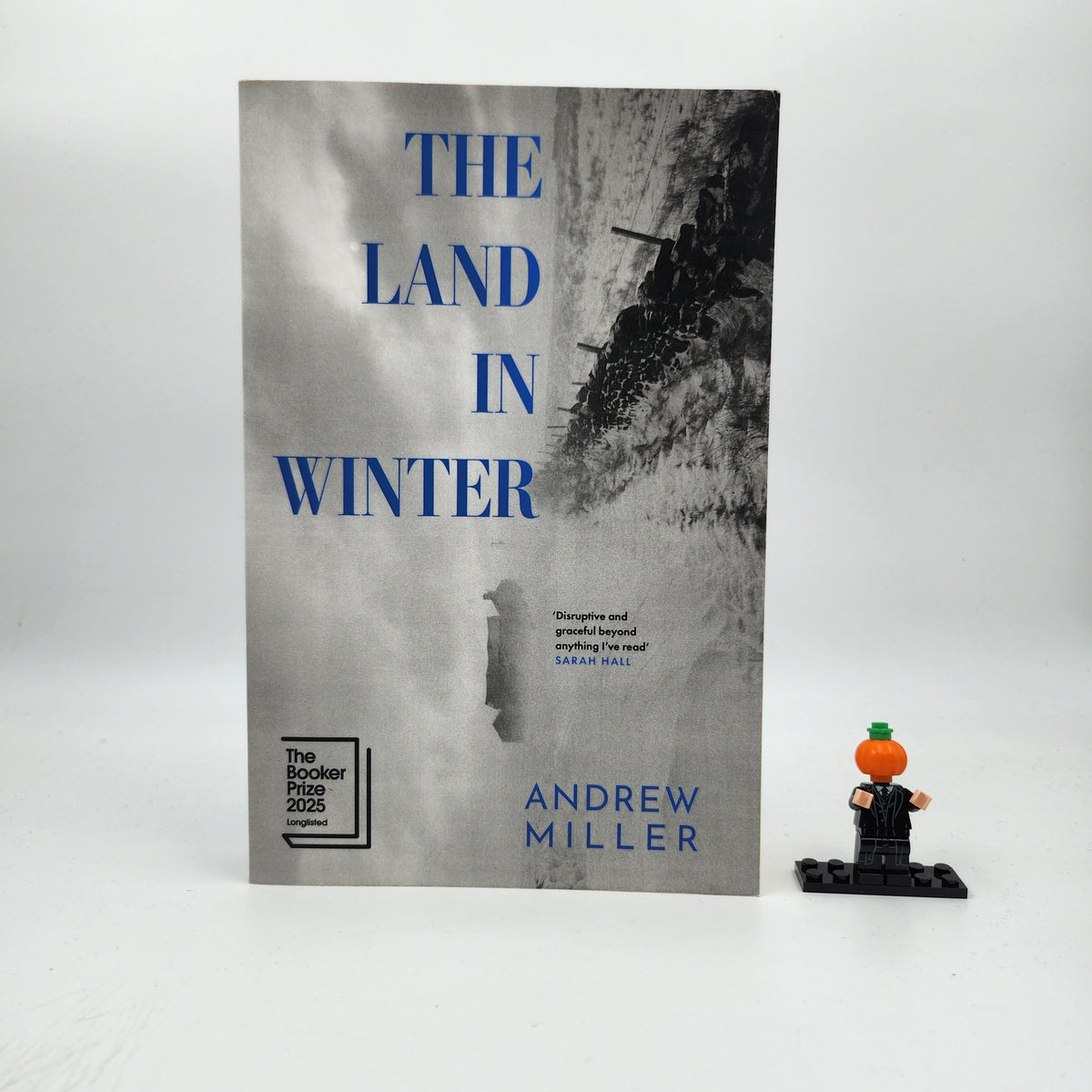 The Land in Winter