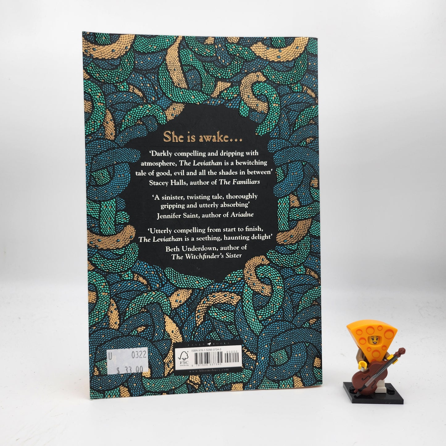 The Leviathan - Rosie Andrews