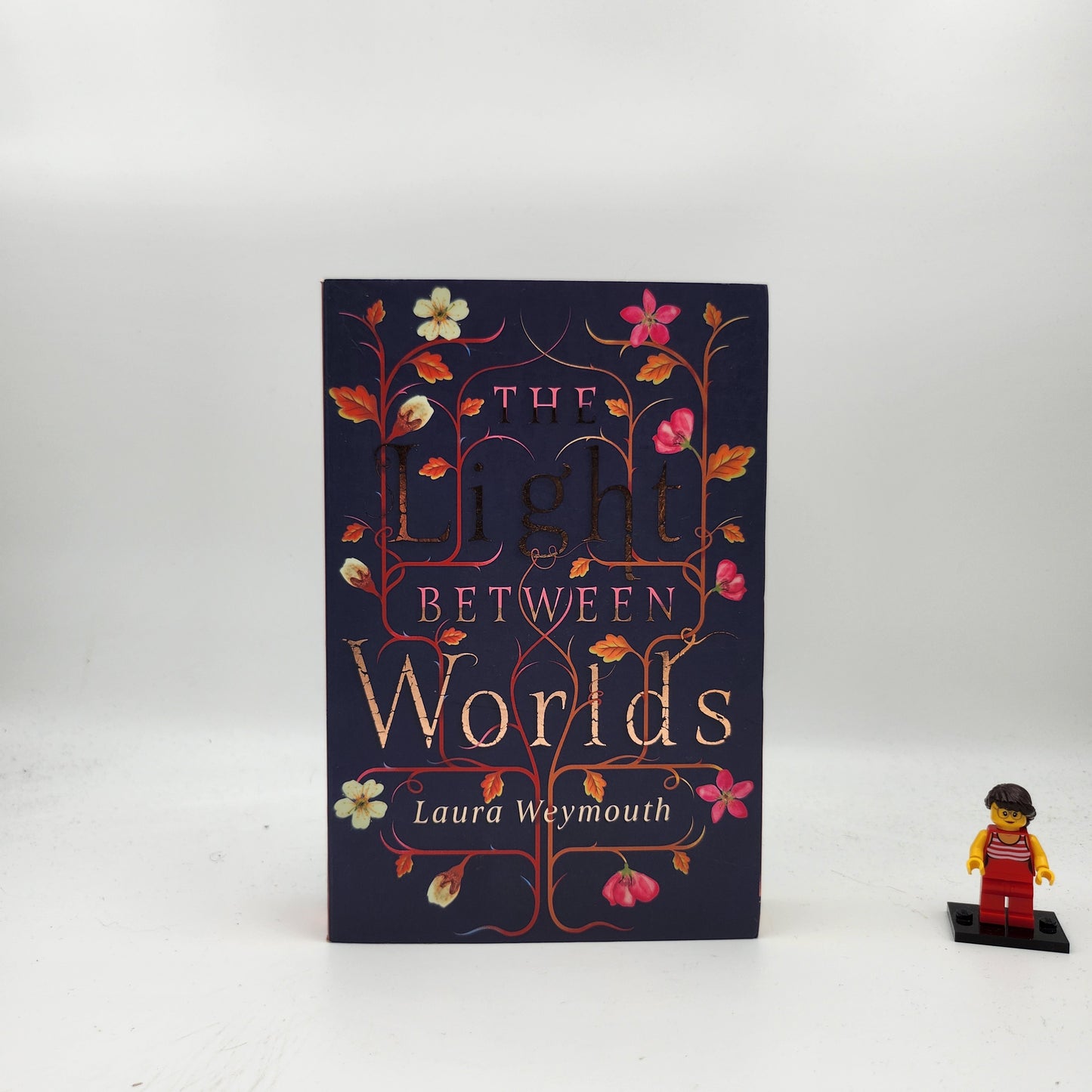 The Light Between Worlds