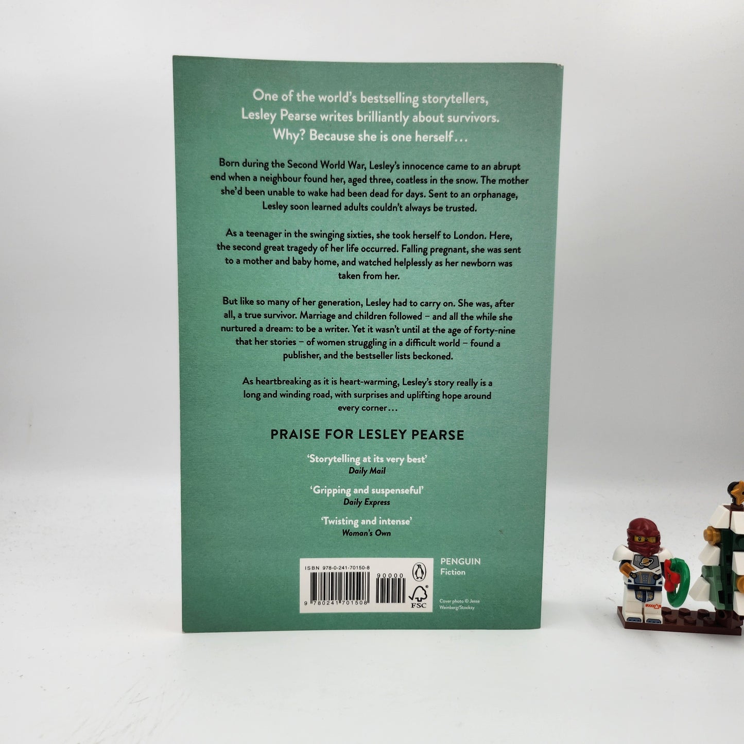 The Long and Winding Road - Lesley Pearse