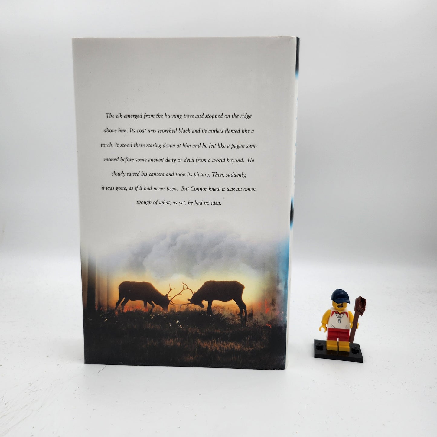 The Smoke Jumper - Nicholas Evans