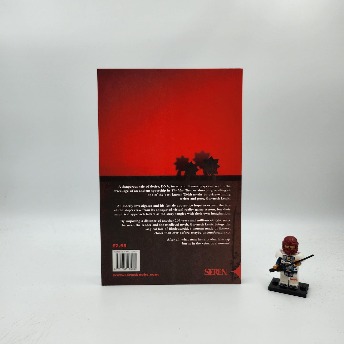 The Meat Tree (New Tales from the Mabinogion #3)