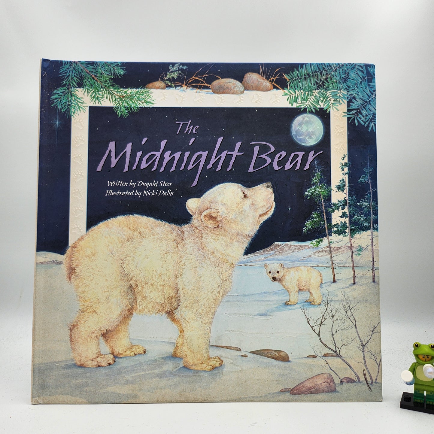 The Midnight Bear