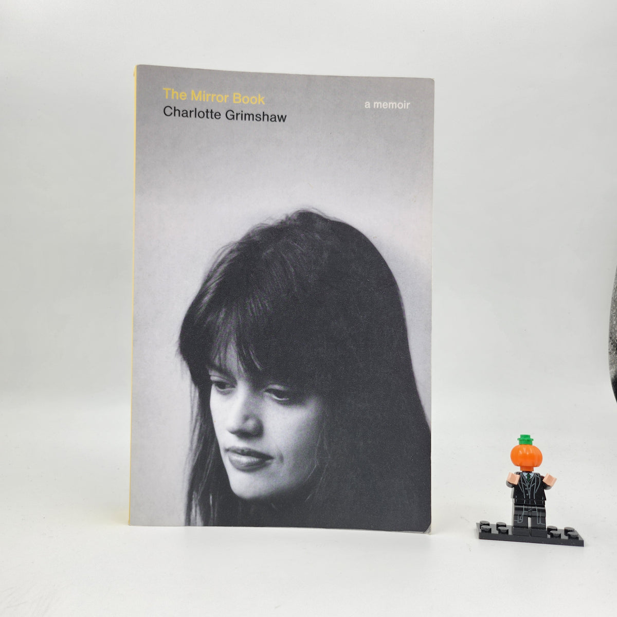 The Mirror Book