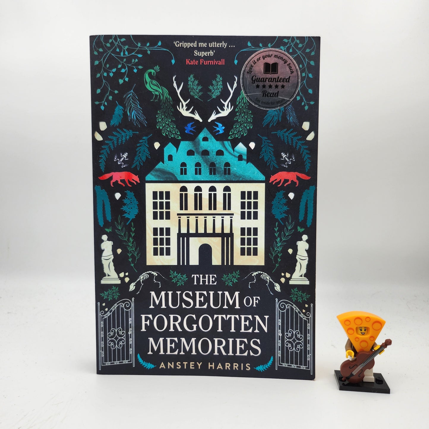 The Museum of Forgotten Memories - Anstey Harris