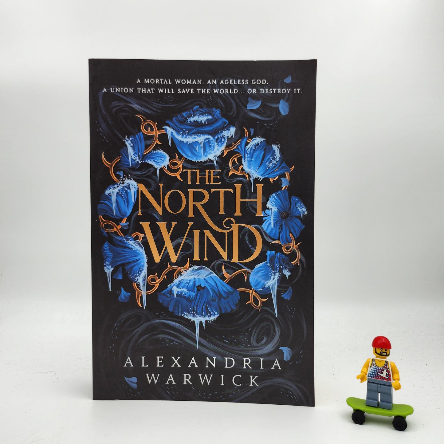 The North Wind (The Four Winds #1)