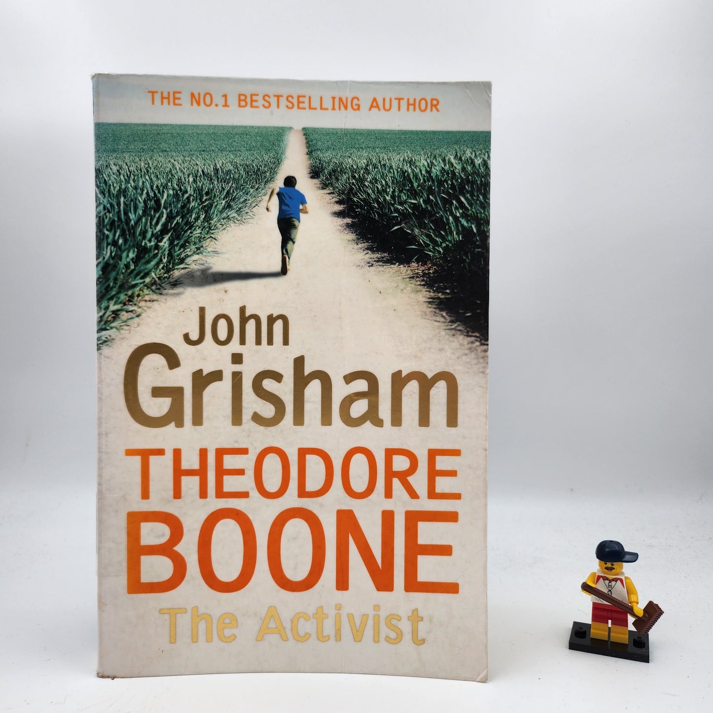 The Activist (Theodore Boone 4) - John Grisham