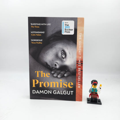 The Promise - Damon Galgut