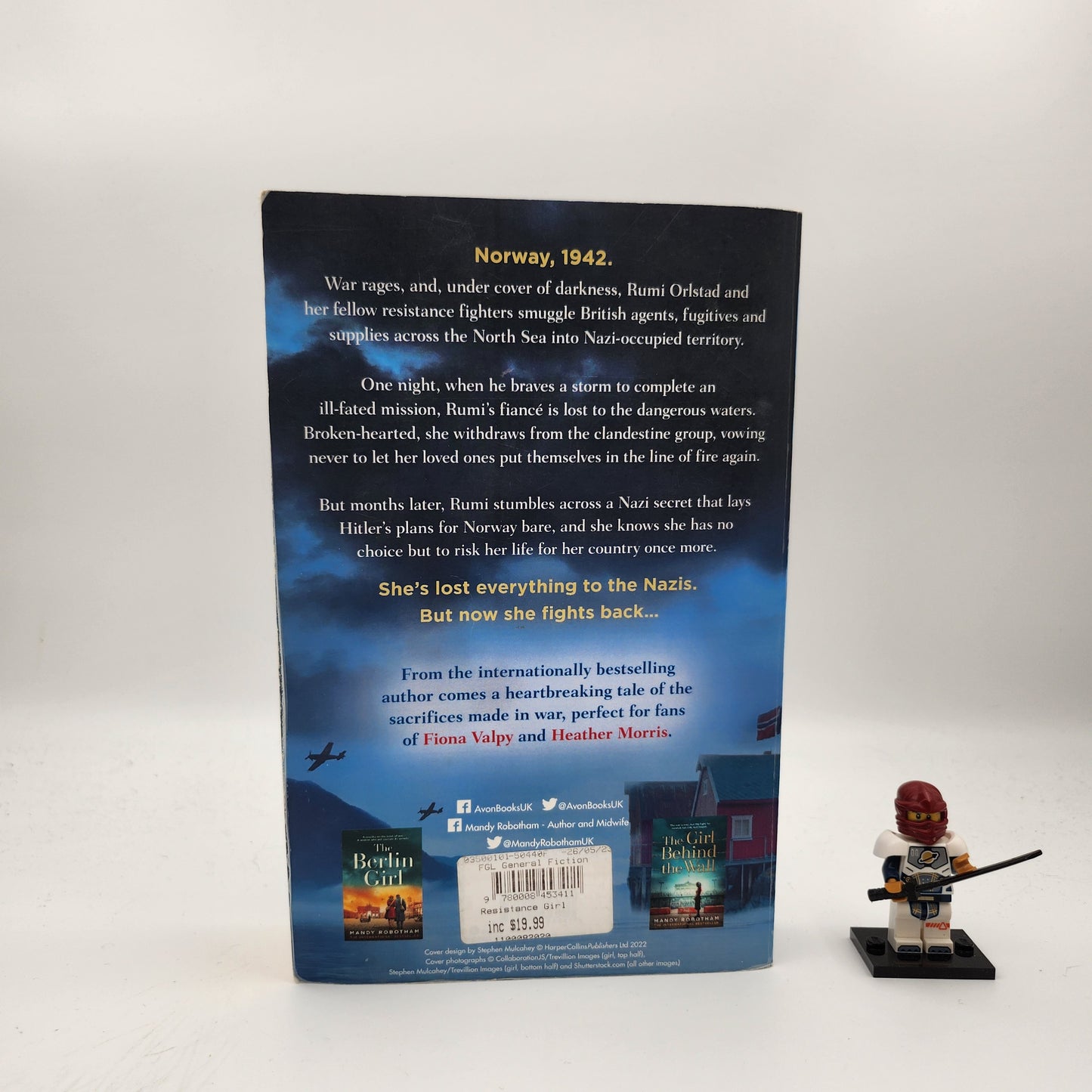 The Resistance Girl - Mandy Robotham