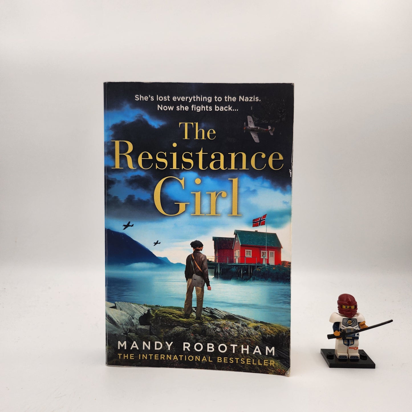 The Resistance Girl - Mandy Robotham