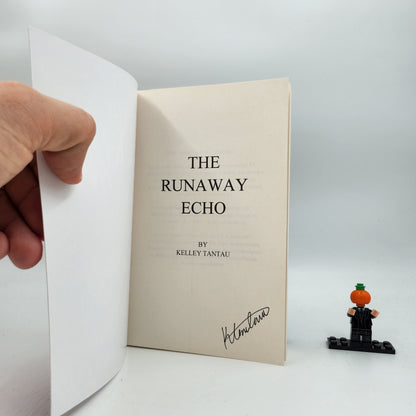 The Runaway Echo