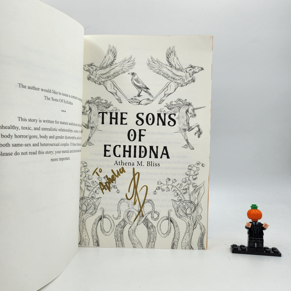 The Sons Of Echidna – Books For Less