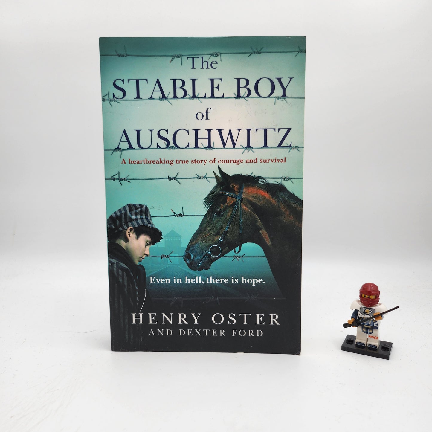 The Stable Boy of Auschwitz