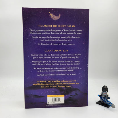 The Story Spinner - Barbara Erskine