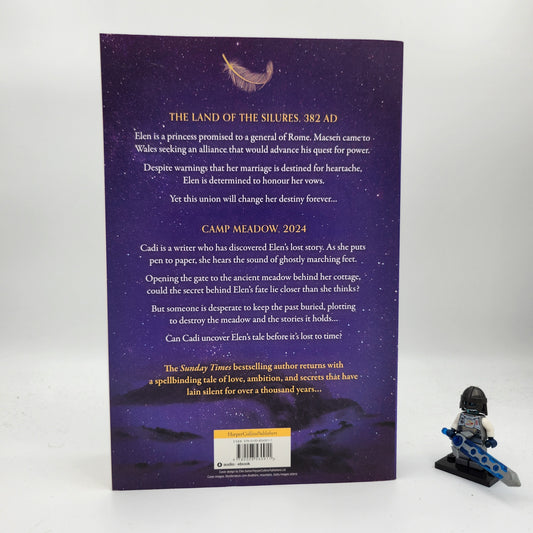 The Story Spinner - Barbara Erskine